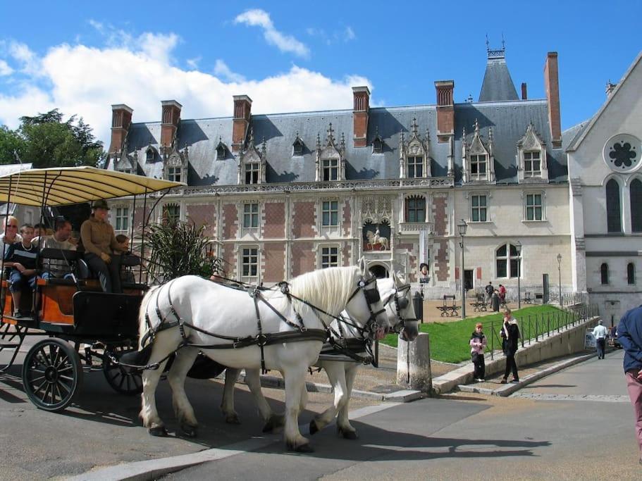 Blois City - Le Petit Louis XII エクステリア 写真